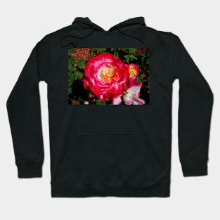 Long Beach Rose 1 Hoodie